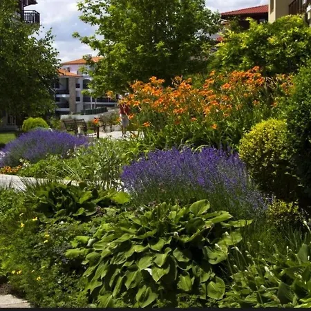 Apartment Garden Of Eden - Panorama C2 Reymar Sveti Vlas